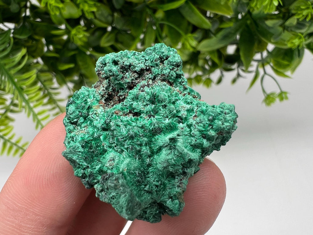 Malachite Crystal from Congo,Minerals,Crystals from Congo,Green Malachite, Malachite,Natural Malachite,Malachite Stone,Chakra, Specimens