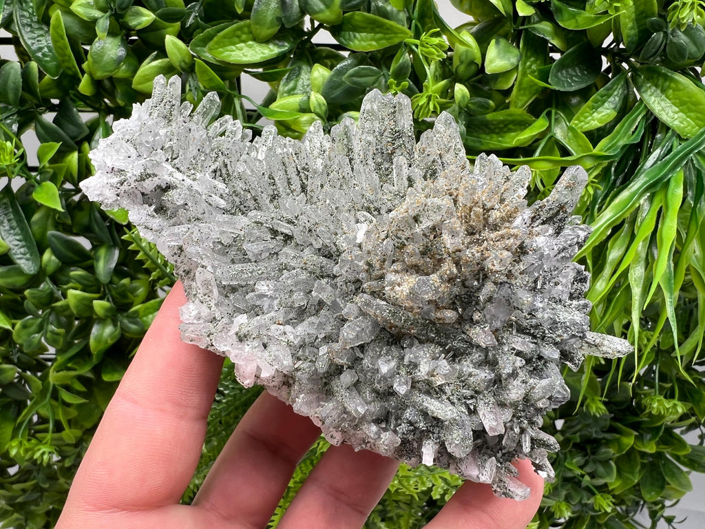 Quartz Rhodochrosite Cluster, Djurcovo Mine Mineral Specimen