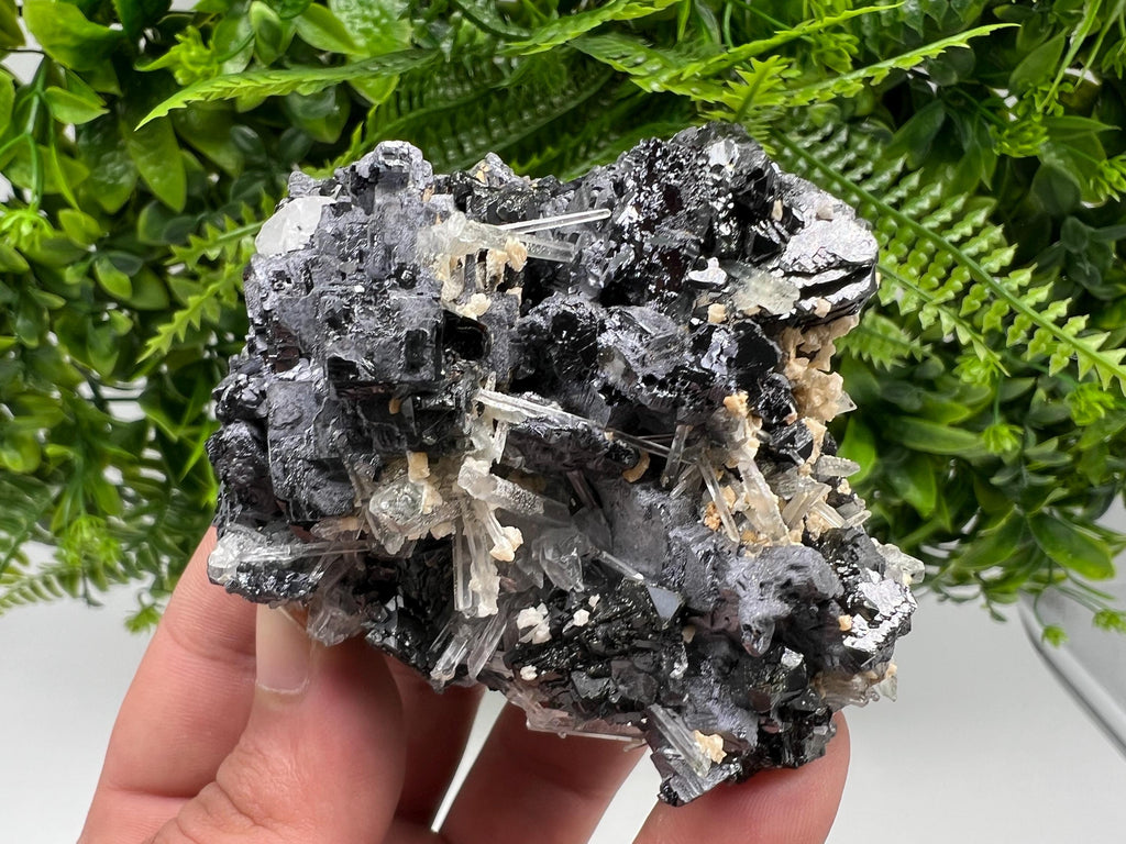 Galena Sphalerite Quartz Mineral Specimen, Krushev dol Mine, Bulgaria