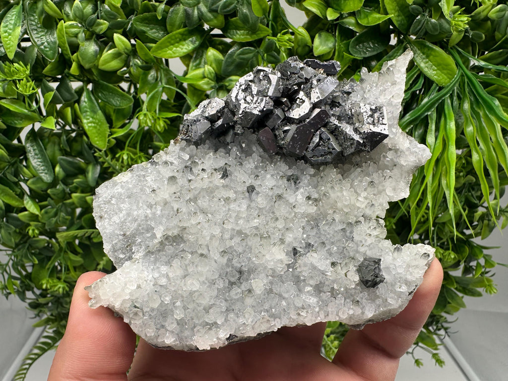 Galena on Quartz Specimen, Cleiophane Mineral, Krushev dol Mine, Bulgaria