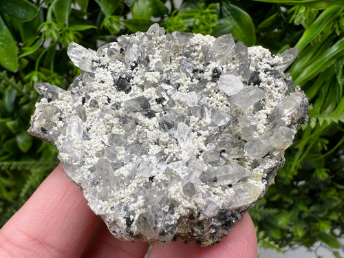 Chlorite Epidote Quartz Specimen, Borieva Mine, Bulgaria