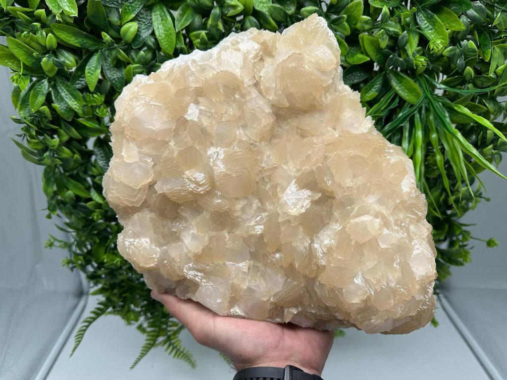 Extra Large Pink Manganocalcite Specimen: Krushev Dol Mine, Bulgaria