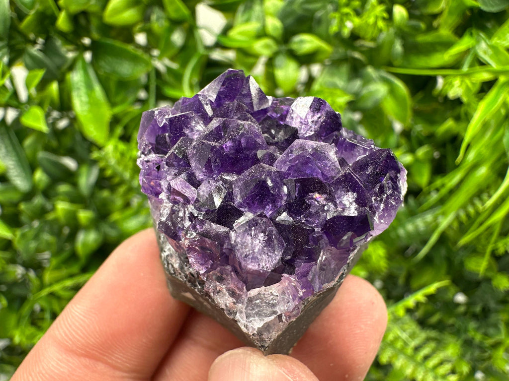 Uruguay Amethyst Cluster: Purple Quartz Crystal, Home Decor