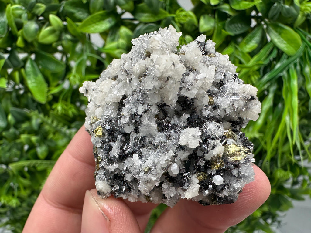 Wonderful Chalcopyrite Galena on Quartz whit Chlorite natural minerals souvenir crystal gift home decor stone Borieva mine Madan Bulgaria