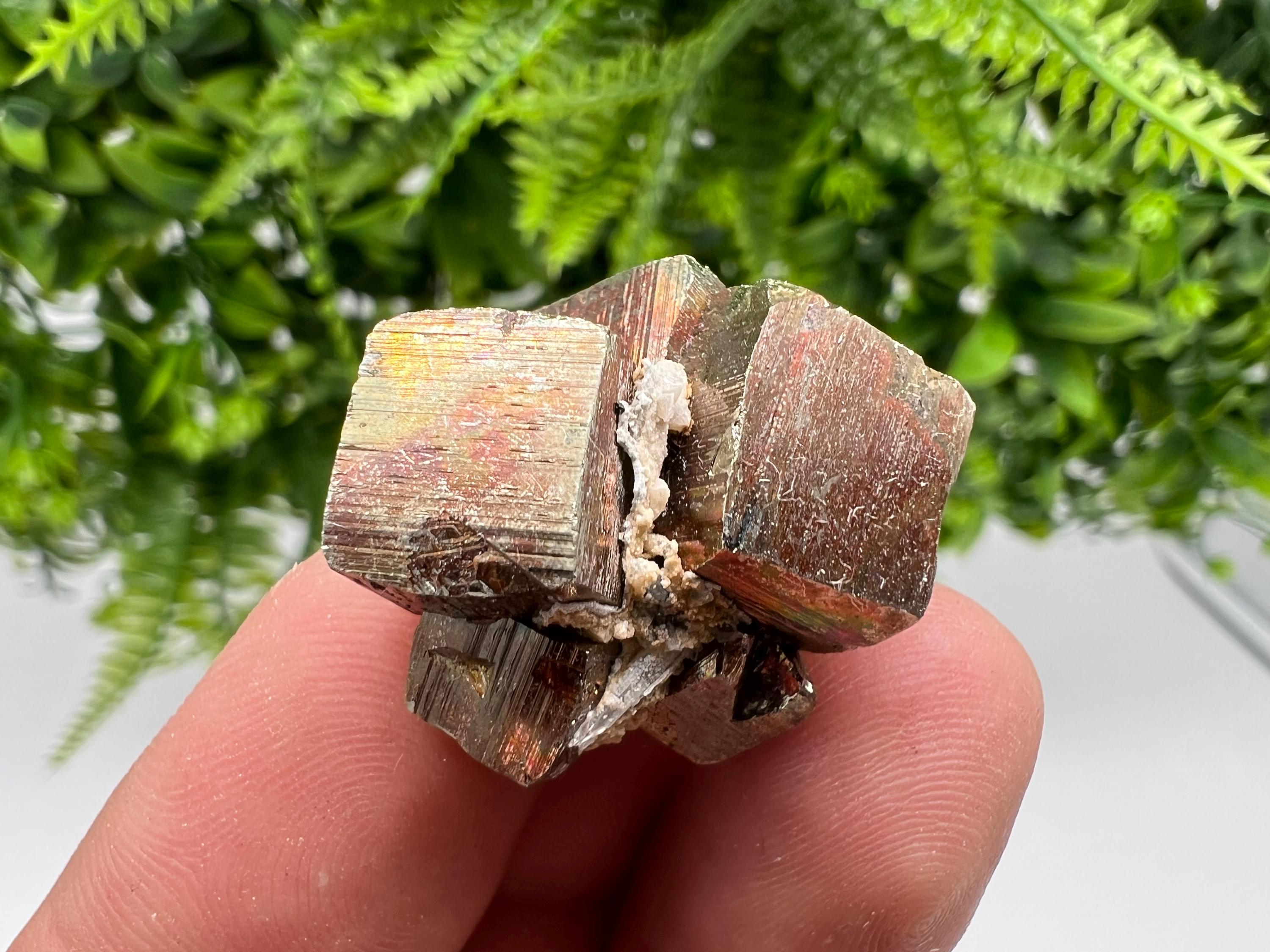 Rainbow Pyrite Hematite Cluster: Borieva Mine, Bulgaria