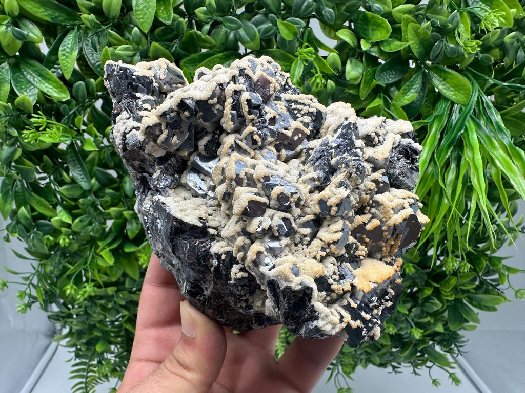 Skeletal Galena with Dolomite: Krushev Dol Mine, Bulgaria