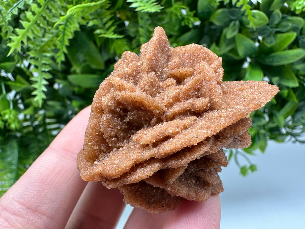 Natural Desert Rose Crystal - Root Chakra Healing Selenite