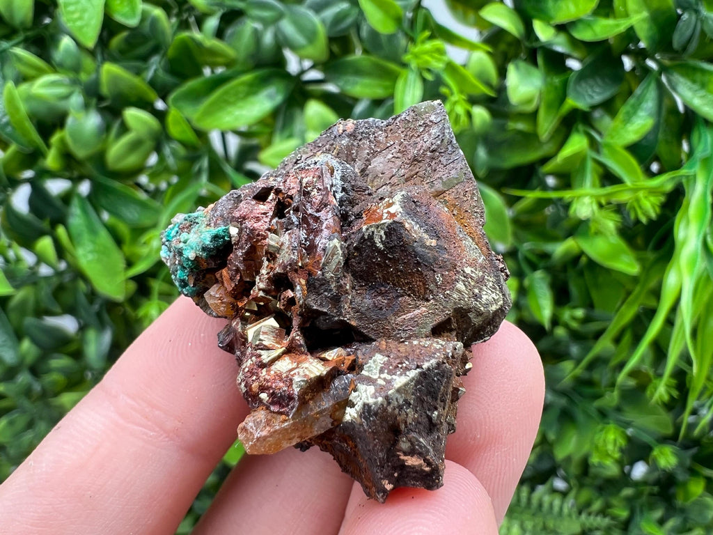 Malachite on Chalcopyrite Mineral Specimen: 9th September Mine, Bulgaria