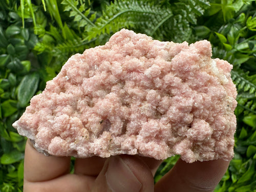 Cabinet Rhodochrosite Specimen with Quartz Crystals, Bulgaria
