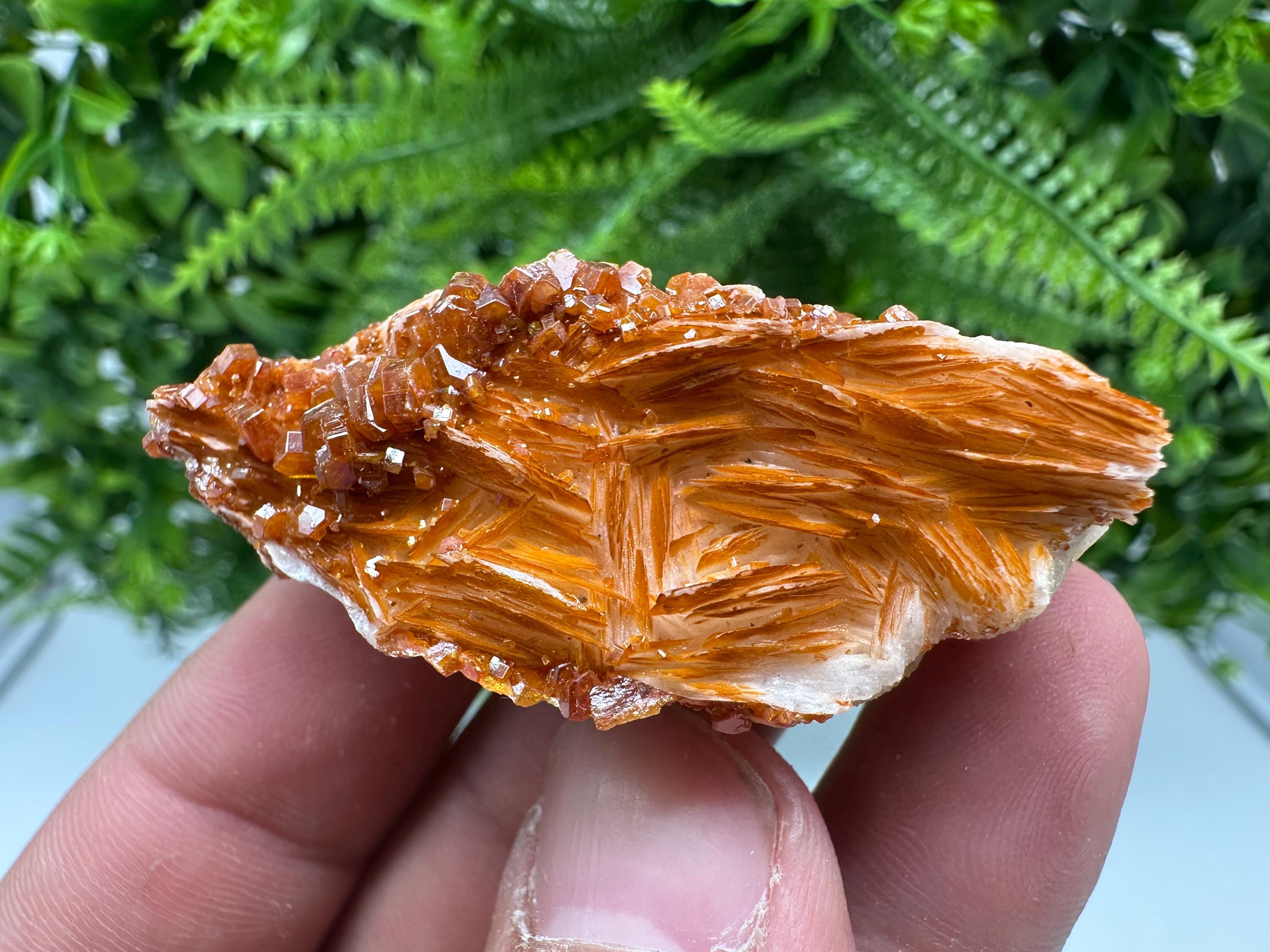 Red Vanadinite on Barite, Morocco Crystal Cluster