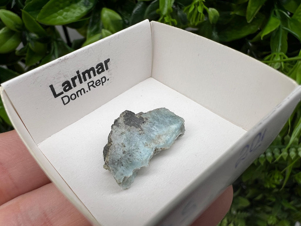 Rare Raw Larimar Specimen: Dominican Republic Mineral Collection (23/15mm
