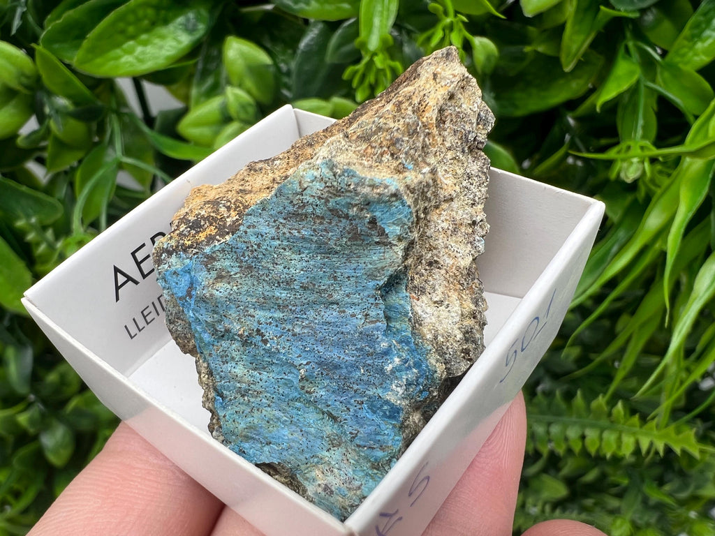 Rare Raw Aerinite Mineral Specimen: Collection Crystal from Lleida, Spain