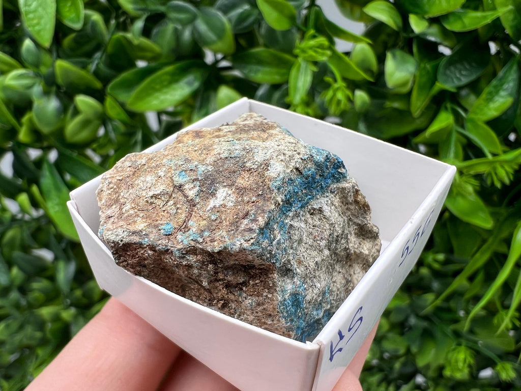 Rare Raw Aerinite Mineral Specimen: Collection Crystal from Lleida, Spain (5/3.5 CM)