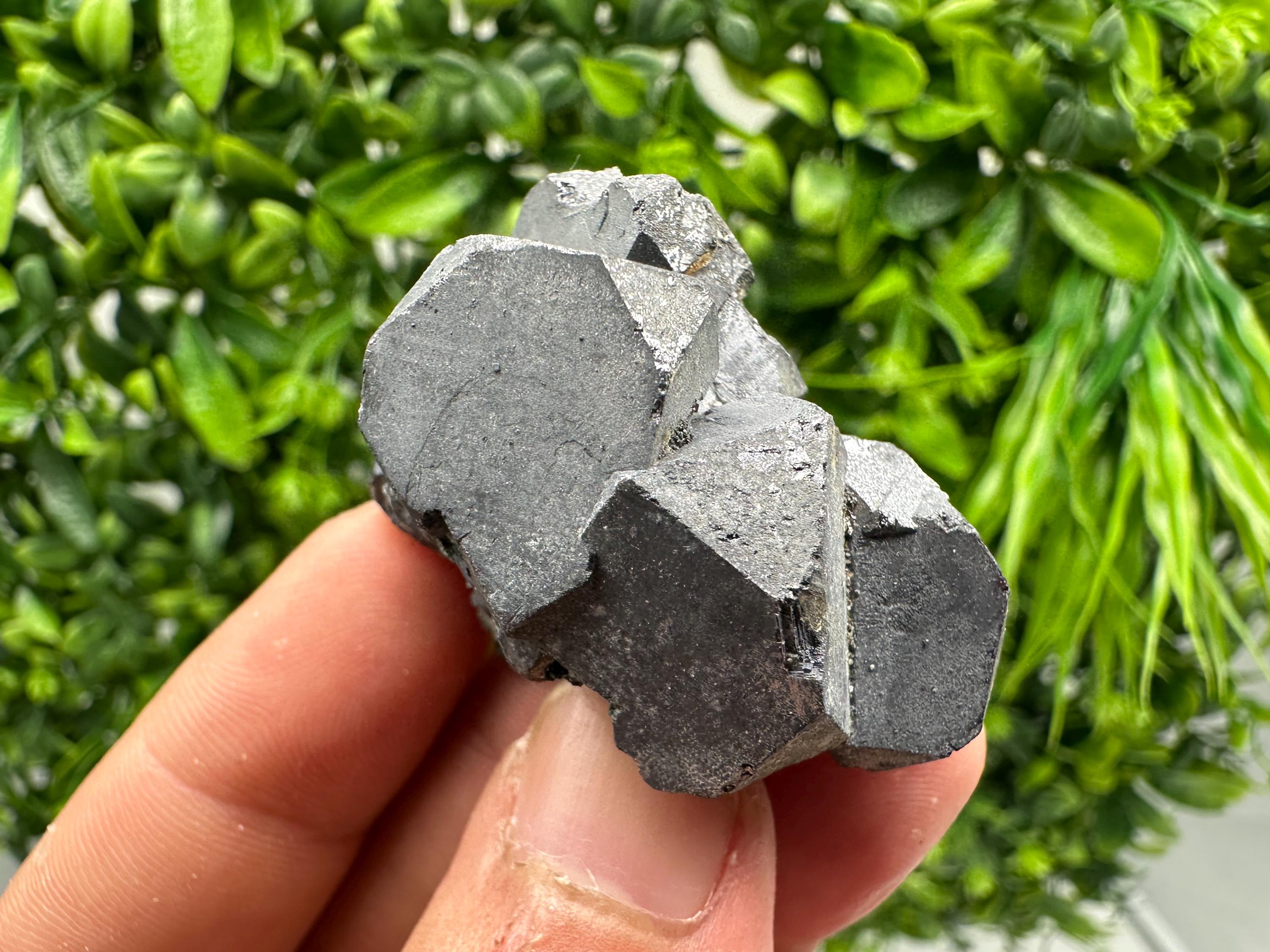 Shiny Galena Cluster, Borieva Mine, Madan, Bulgaria