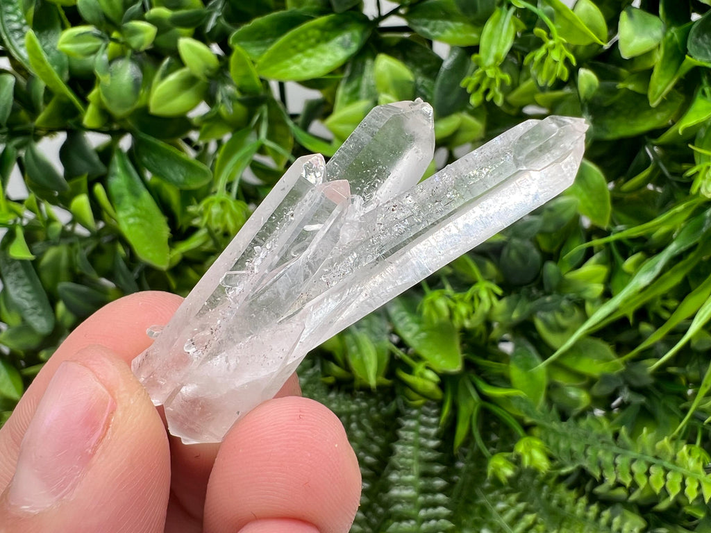 Wonderful Transparent Quartz on Chlorite Matrix,From Borieva mine,Madan,Bulgaria,Quartz,Quartz crystal,mineral specimen,collection quartz