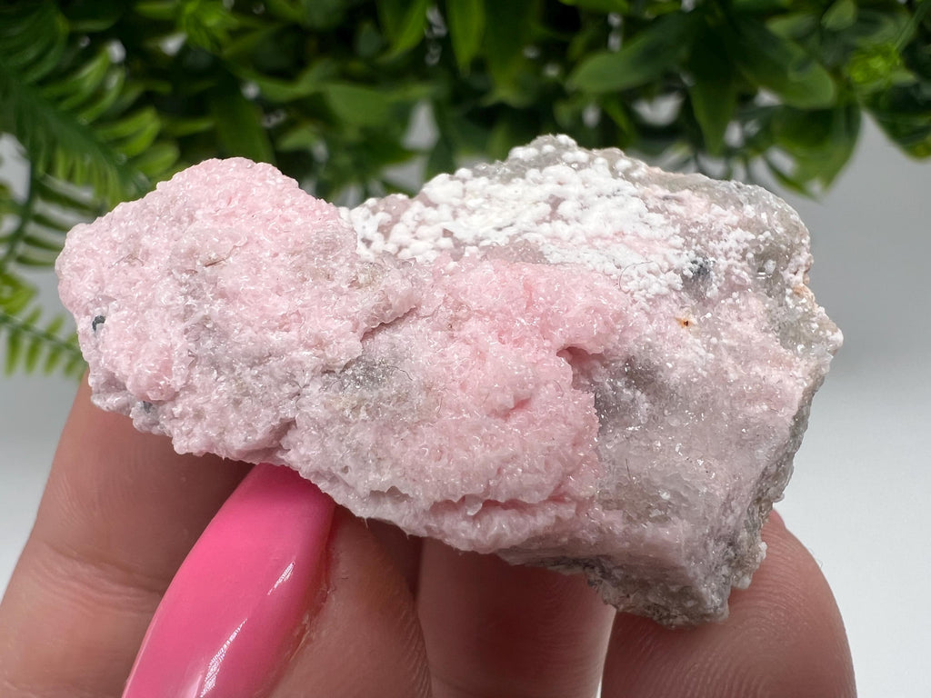 RARE Rhodochrosite with White Calcite, Starnica Mine, Bulgaria