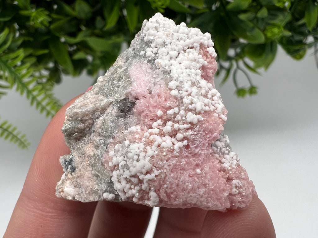 RARE Rhodochrosite with White Calcite, Starnica Mine, Bulgaria