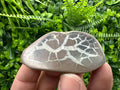 Septarian Nodule Geode Pair: Dragonstone Healing Stone (4/6.5 cm)