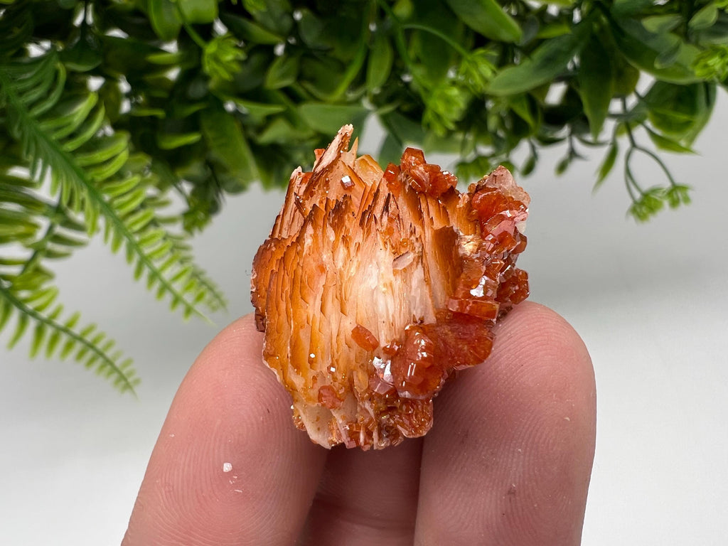 Red Vanadinite on Barite from Marocco,crystal minerals Speciment cluster Vanadinite crystal Vanadinite Geology Vanadinite cluster minerals