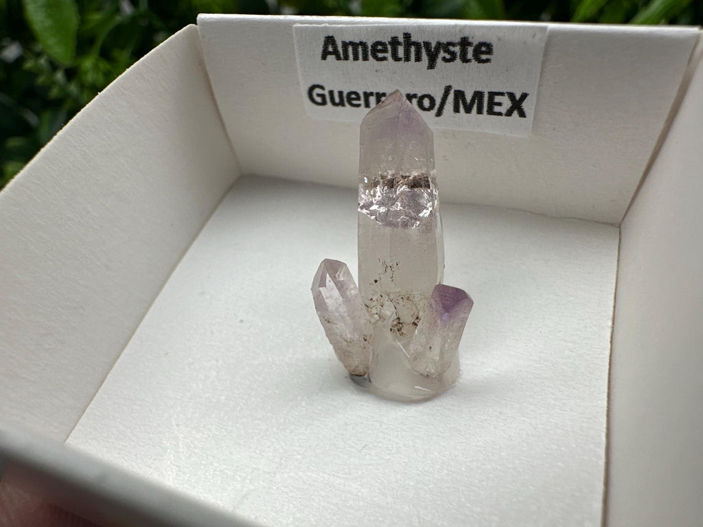 Mexican Amethyst Mineral Specimen: Crystal Collector's Piece (20mm)
