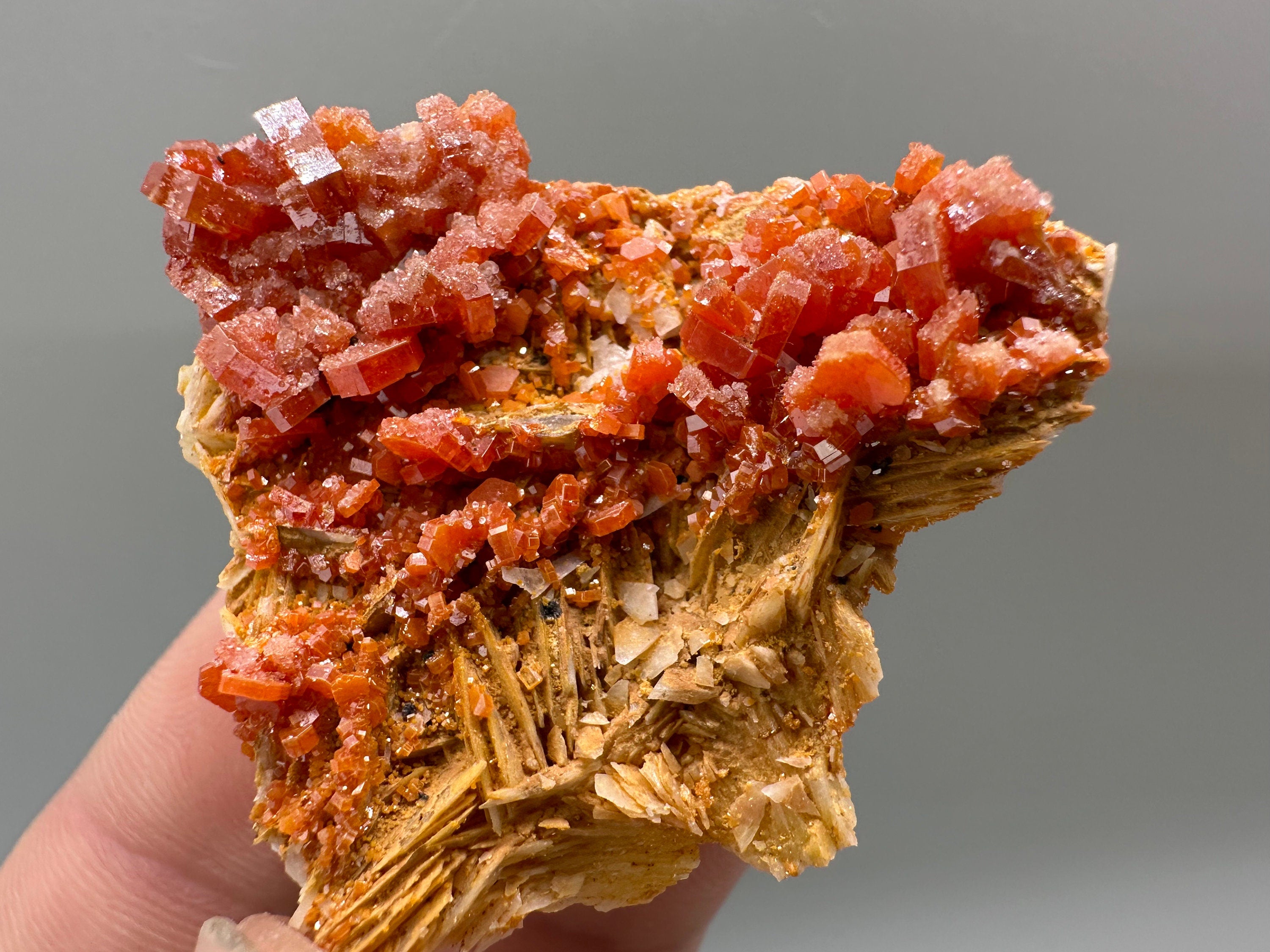 Red Vanadinite Crystal Cluster on Matrix, Morocco Mineral Specimen