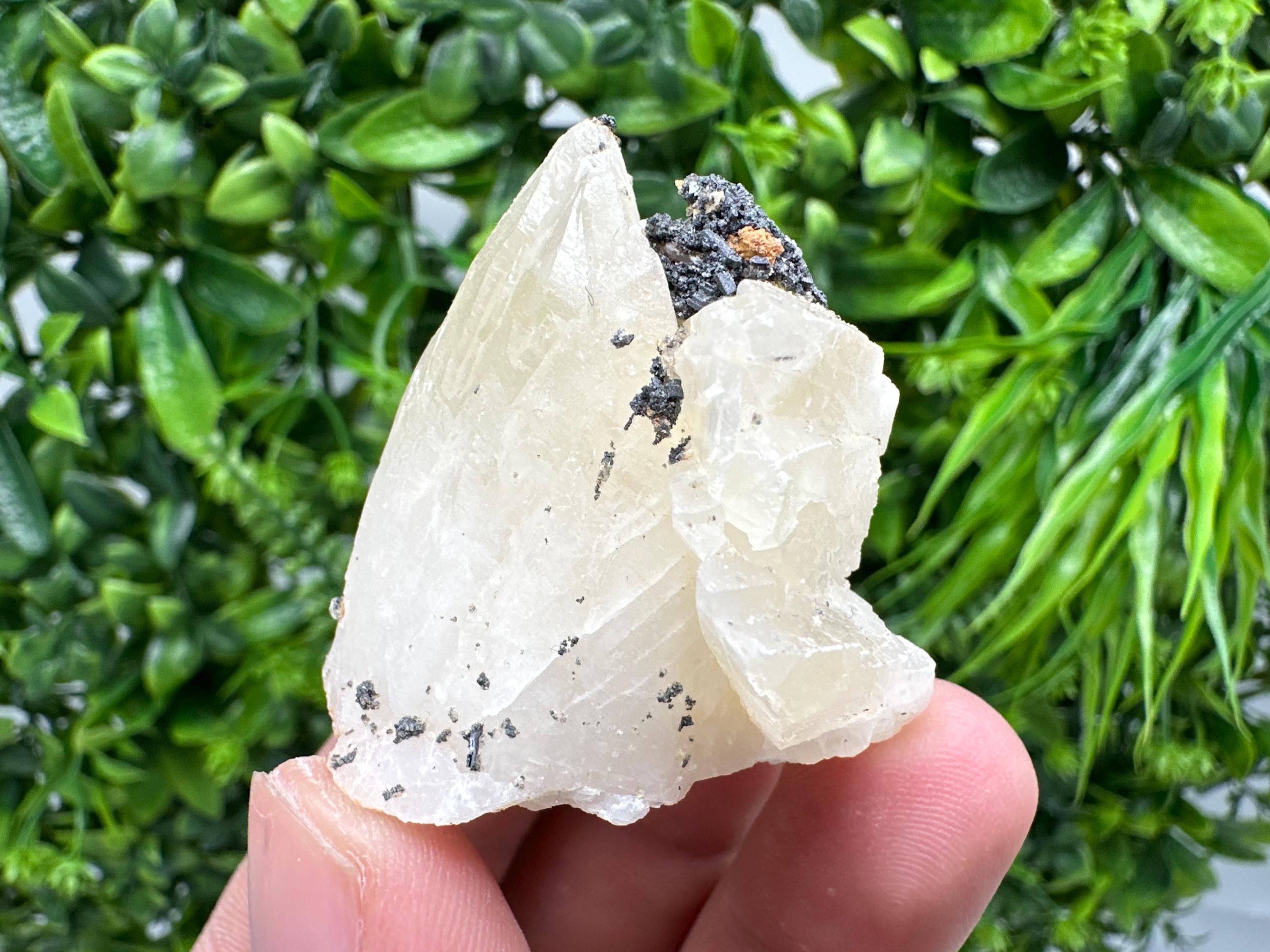 Calcite on Aragonite: Djurcovo Mine, Bulgaria Crystal
