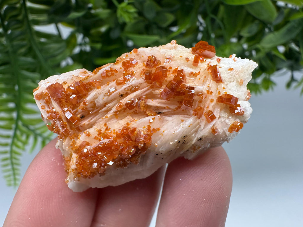 Red Vanadinite Crystal Cluster on Barite, Morocco Mineral Specimen