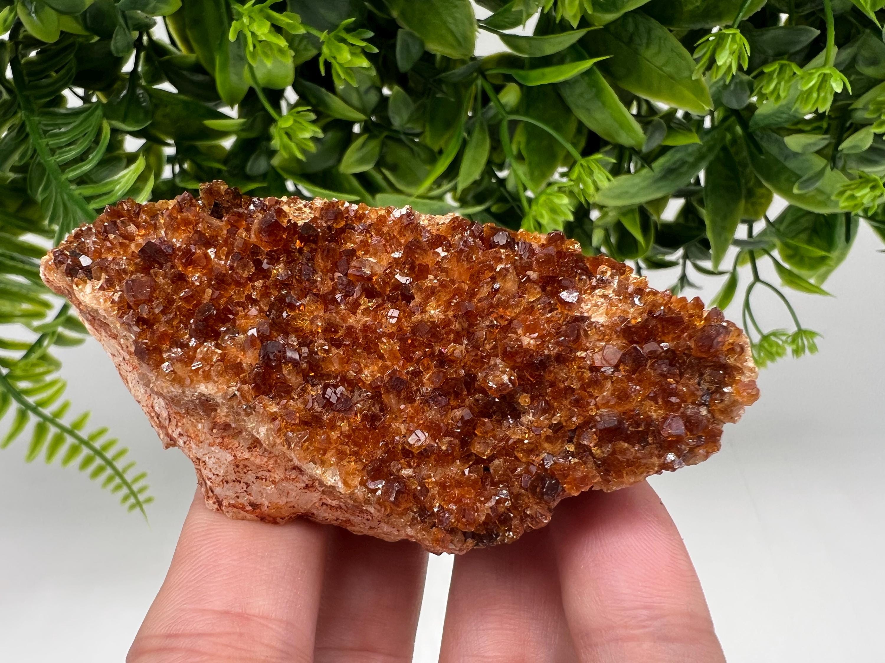 Brazilian Citrine Crystal Cluster with Hematite Inclusions