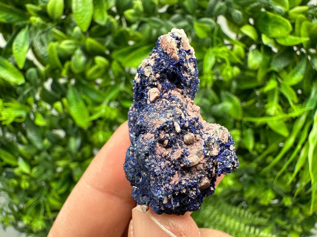 Crystallized Azurite-Kerrouchen,Morocco-Blue Azurite Specimen-High Quality Blue Azurite-Azurite Mineral Specimen, gemmy,lustrous of Azurite