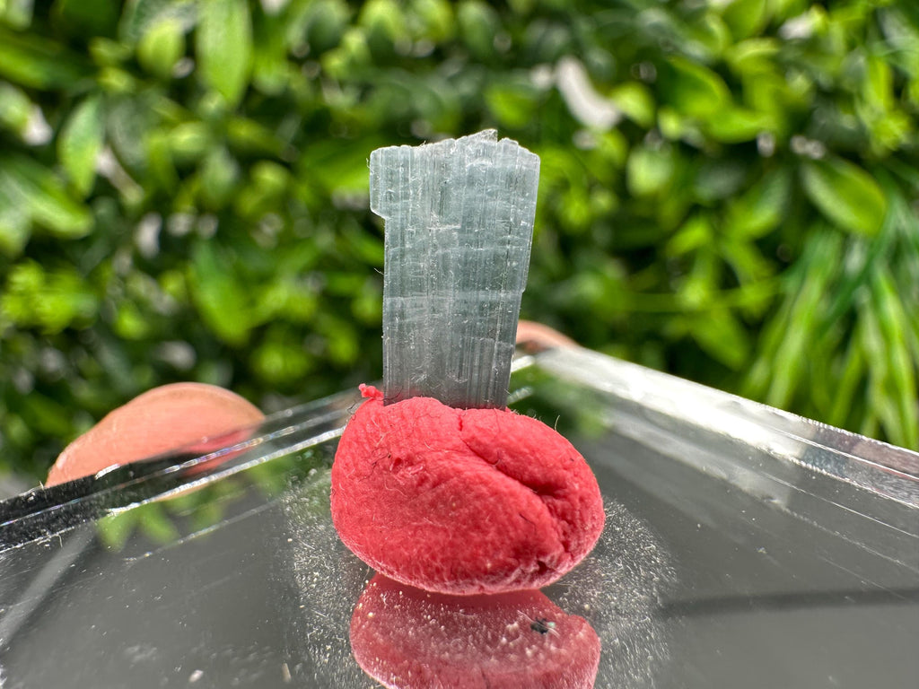 Rare Pink and Green Tourmaline Rubellite Rough Pencil - 15mm