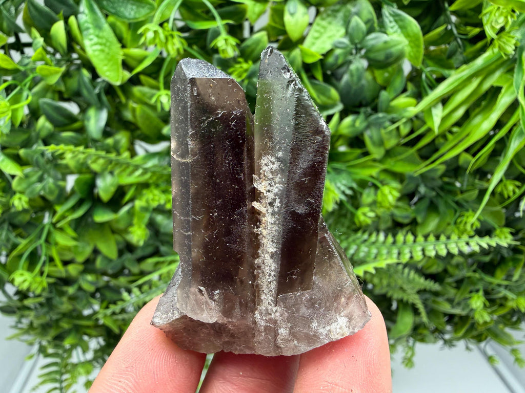 Rare Smoky Quartz Crystal Cluster, Mineral Specimen from Brazil