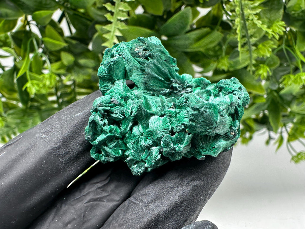 Malachite Crystal from Congo,Minerals,Crystals from Congo,Green Malachite, Malachite,Natural Malachite,Malachite Stone,Chakra, Specimens