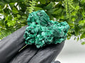 Malachite Crystal from Congo,Minerals,Crystals from Congo,Green Malachite, Malachite,Natural Malachite,Malachite Stone,Chakra, Specimens