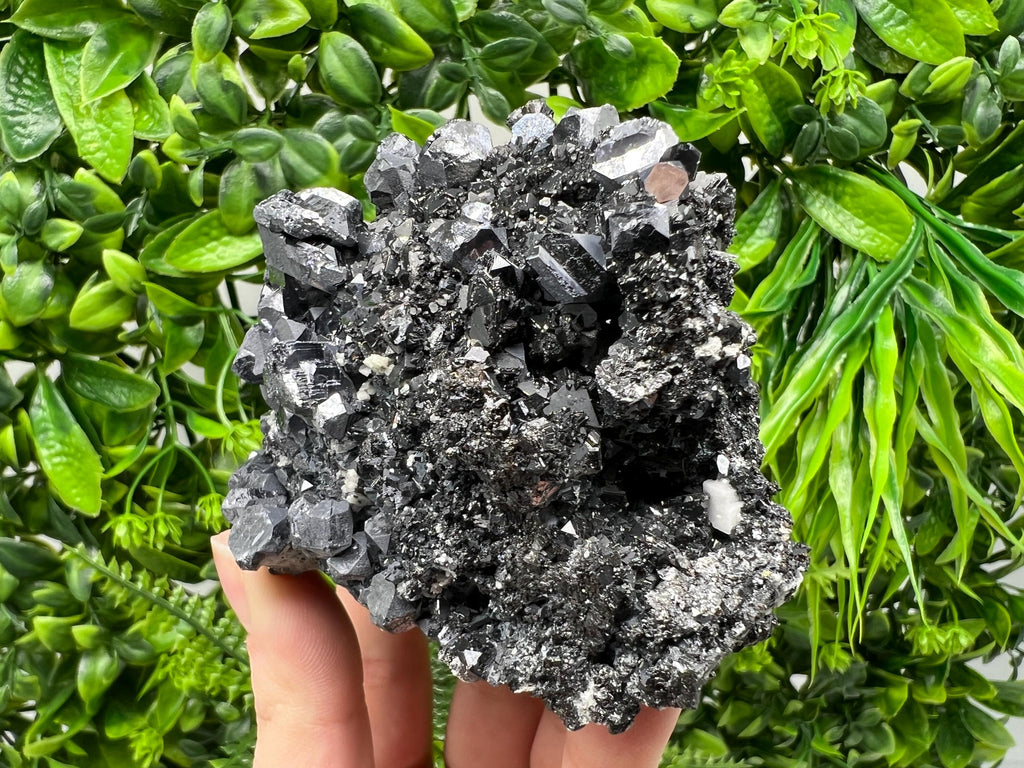 Galena Spinel Law on Sphalerite, Madan Bulgaria Mineral Specimen
