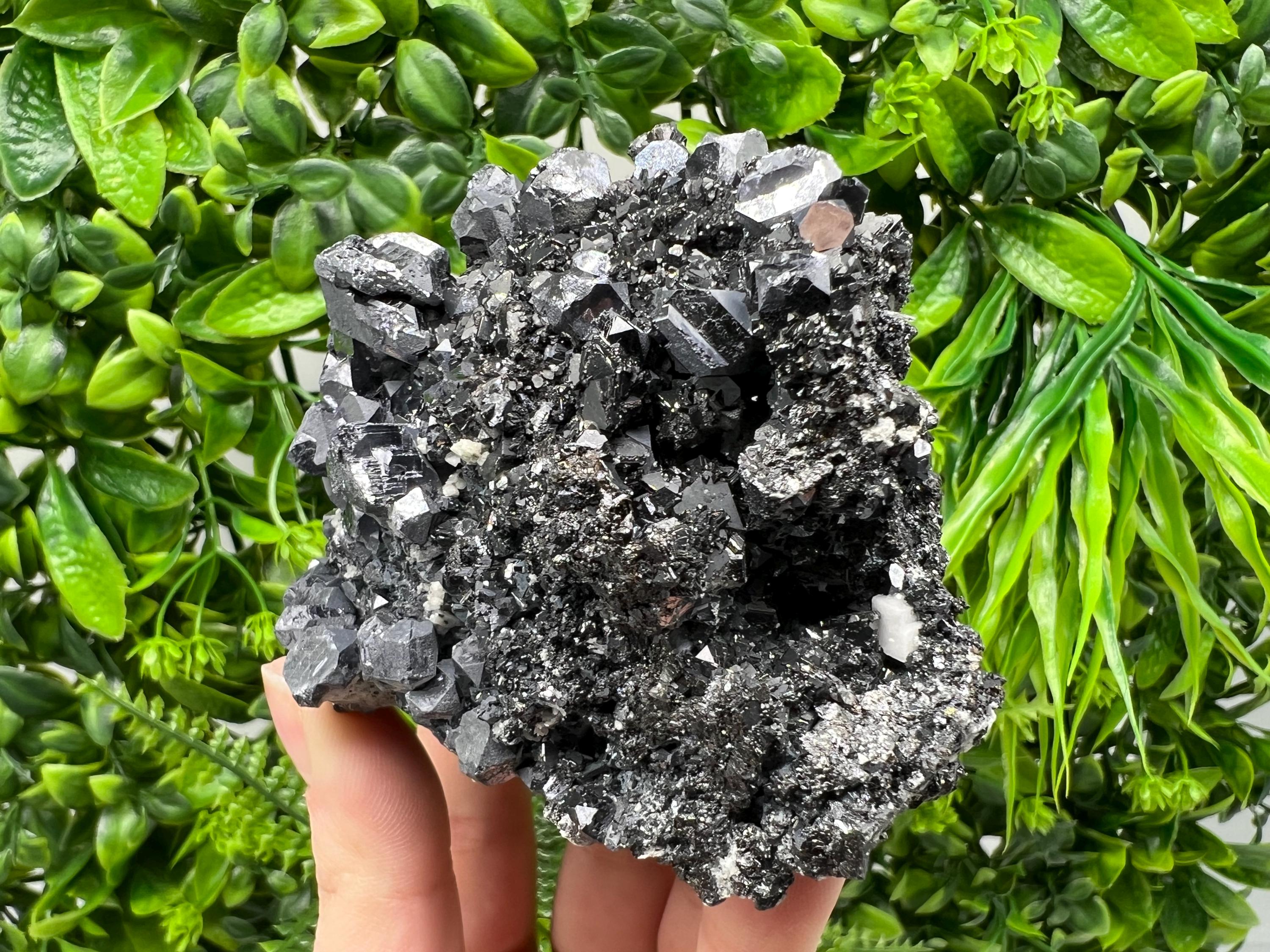 Galena Spinel Law on Sphalerite, Madan Bulgaria Mineral Specimen