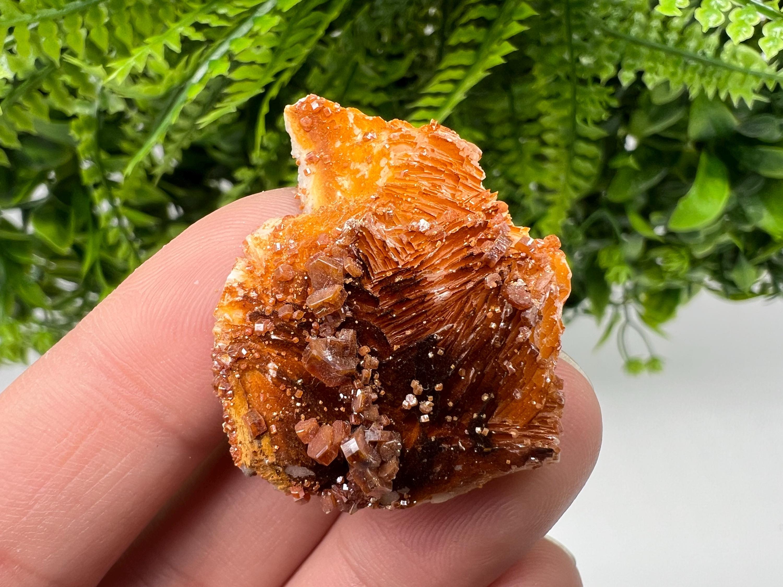 Red Vanadinite on Barite, Morocco Mineral Specimen