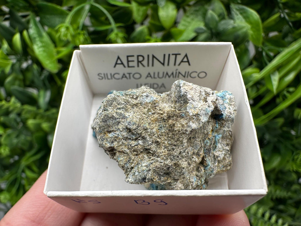 Rare Raw Aerinite Mineral Specimen: Lleida, Spain Crystal