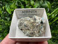 Rare Raw Aerinite Mineral Specimen: Lleida, Spain Crystal