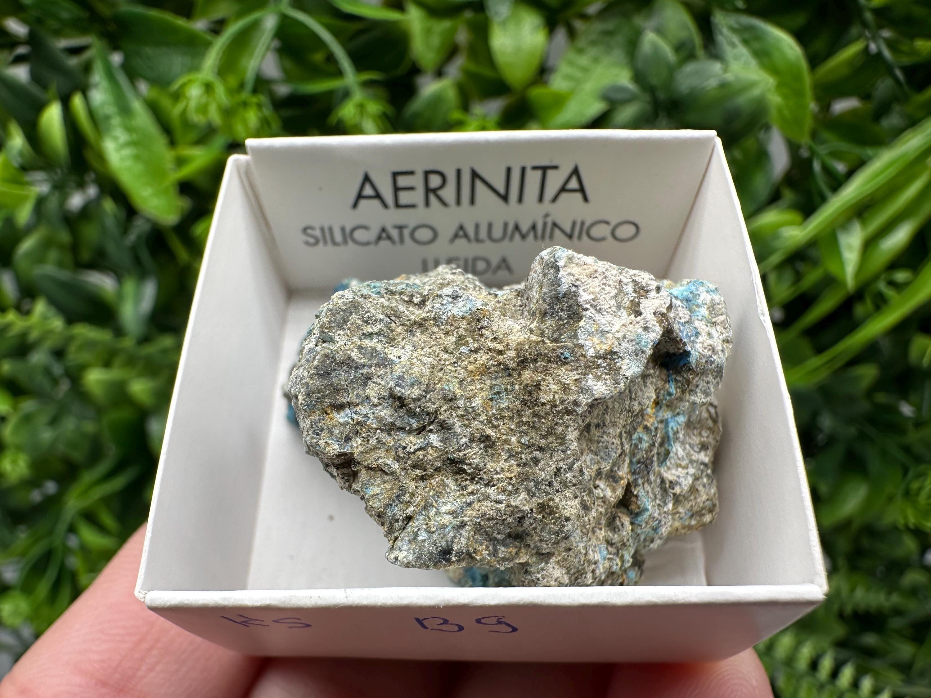 Rare Raw Aerinite Mineral Specimen: Lleida, Spain Crystal