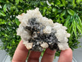 Quartz Crystal with Calcite and Chlorite - Borieva Mine, Bulgaria