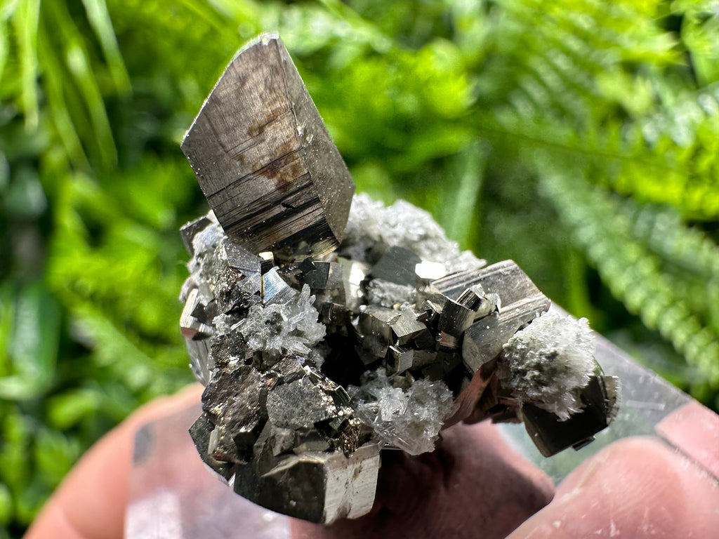 Golden Pyrite Cluster, Natural Crystal Mineral Souvenir