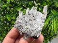 Wonderful Sphalerite Chalcopyrite on Green Quartz whit Hematite feom 9 th September mine,Bulgaria,natural,collection mineral specimen,gift