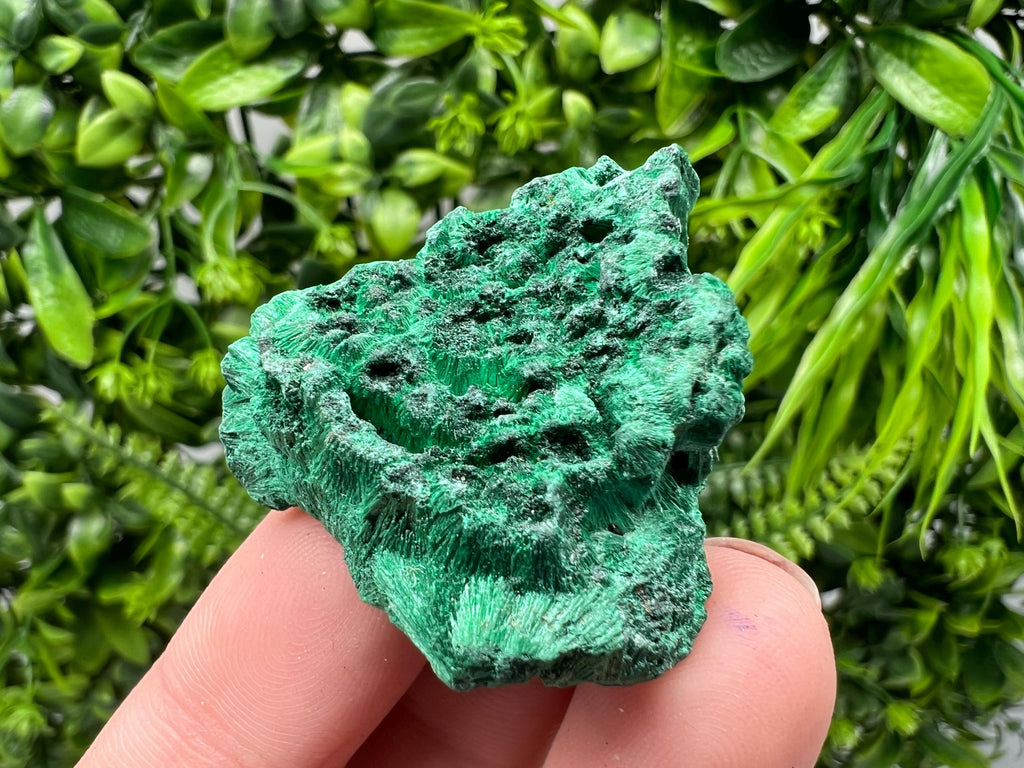 Malachite Crystal from Congo,Minerals,Crystals from Congo,Green Malachite, Malachite,Natural Malachite,Malachite Stone,Chakra, Specimens