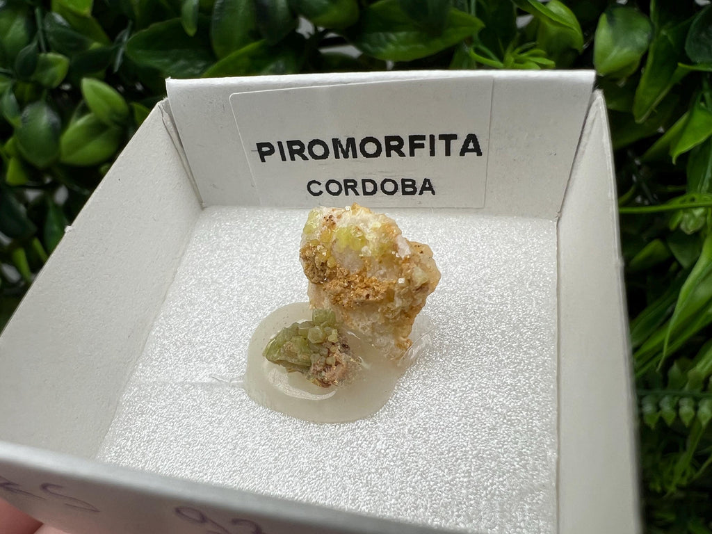 Pyromorphite Stone / Pyromorphite on Matrix / Pyromorphite Crystal / Raw Crystal / Pyromorphite Cluster / Rough Pyromorphite / Pyromorphite