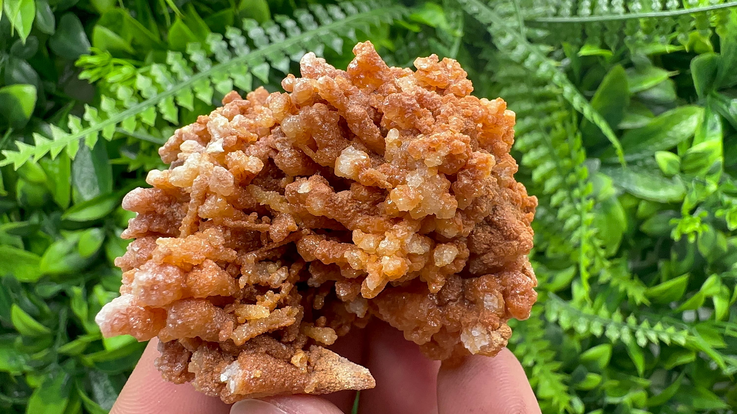 Dimitrovgrad Aragonite Cluster, Bulgaria Mineral Specimen