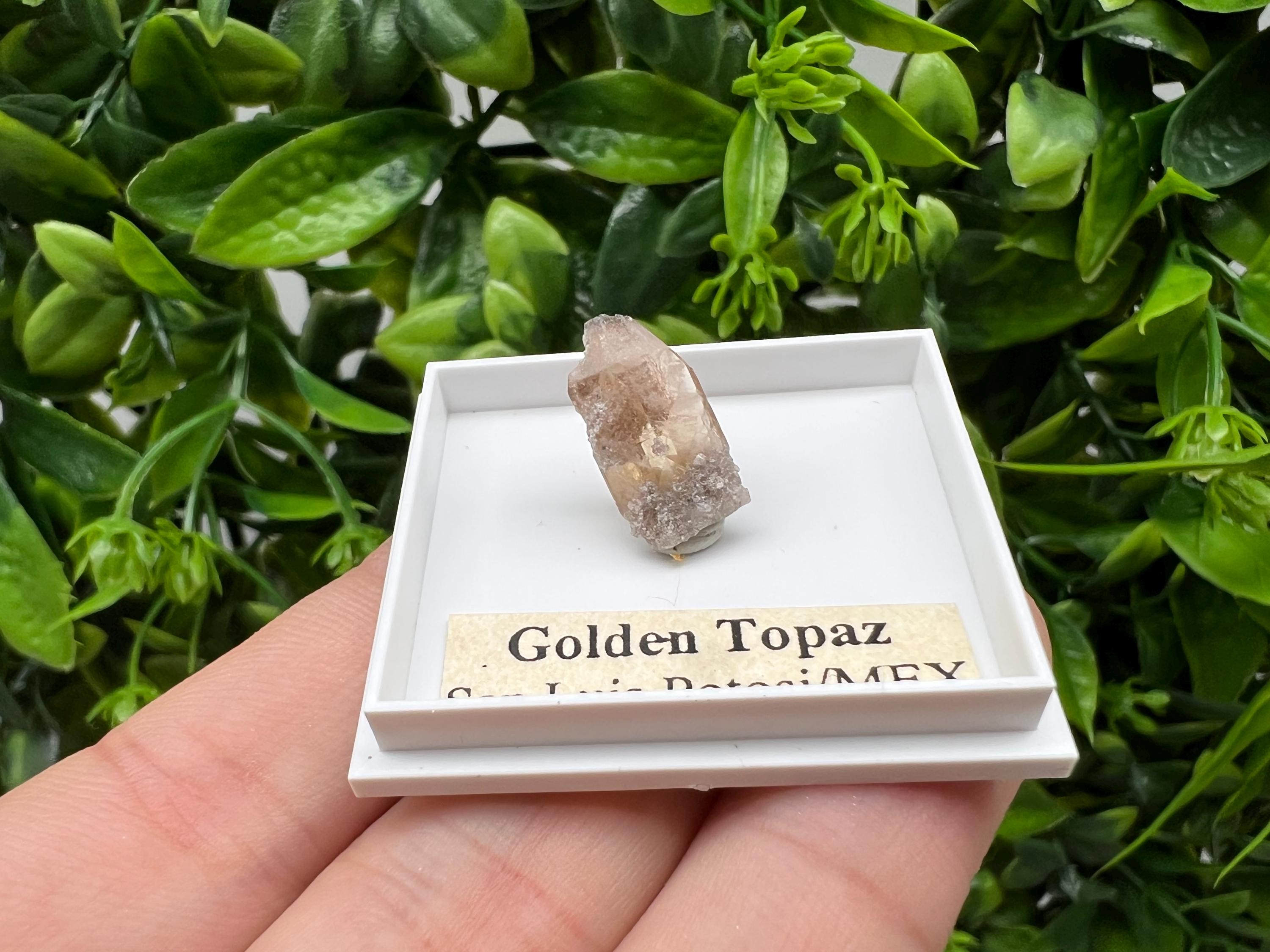 Beautiful Golden Topaz from Mexico,collection piece Crystal,Mineral,collectibles,Collectors, Natural Crystal, Minerals from Mexico,original,