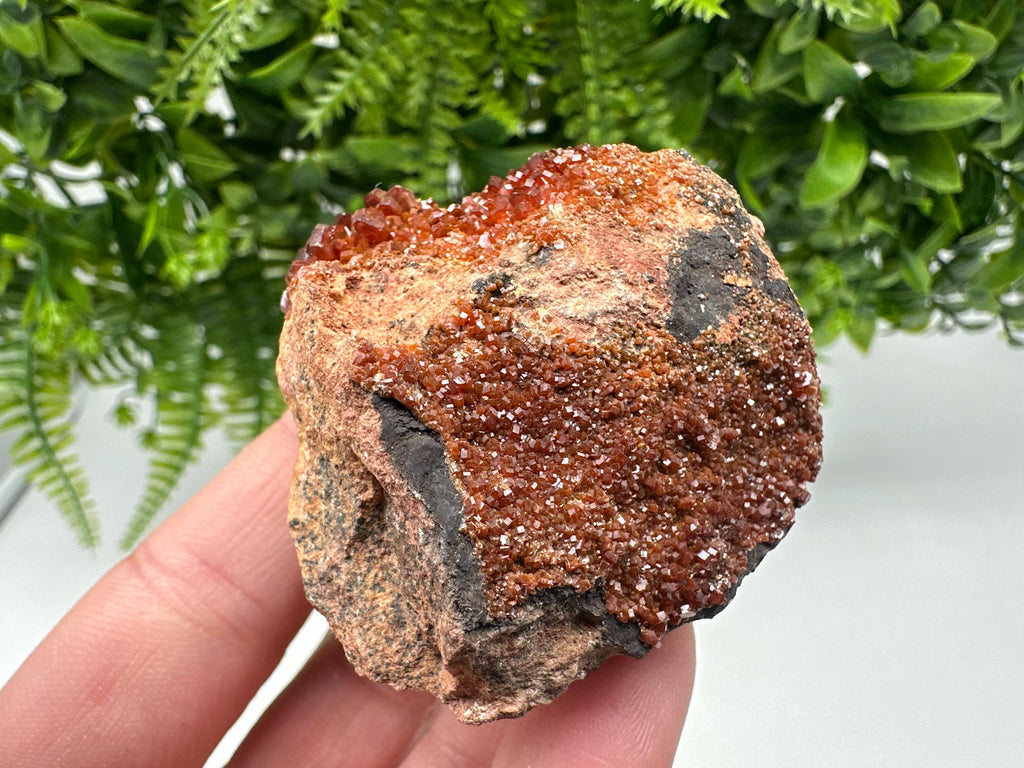 Red Vanadinite on Matrix from Marocco,crystal minerals Speciment cluster Vanadinite crystal Vanadinite Geology Vanadinite cluster minerals