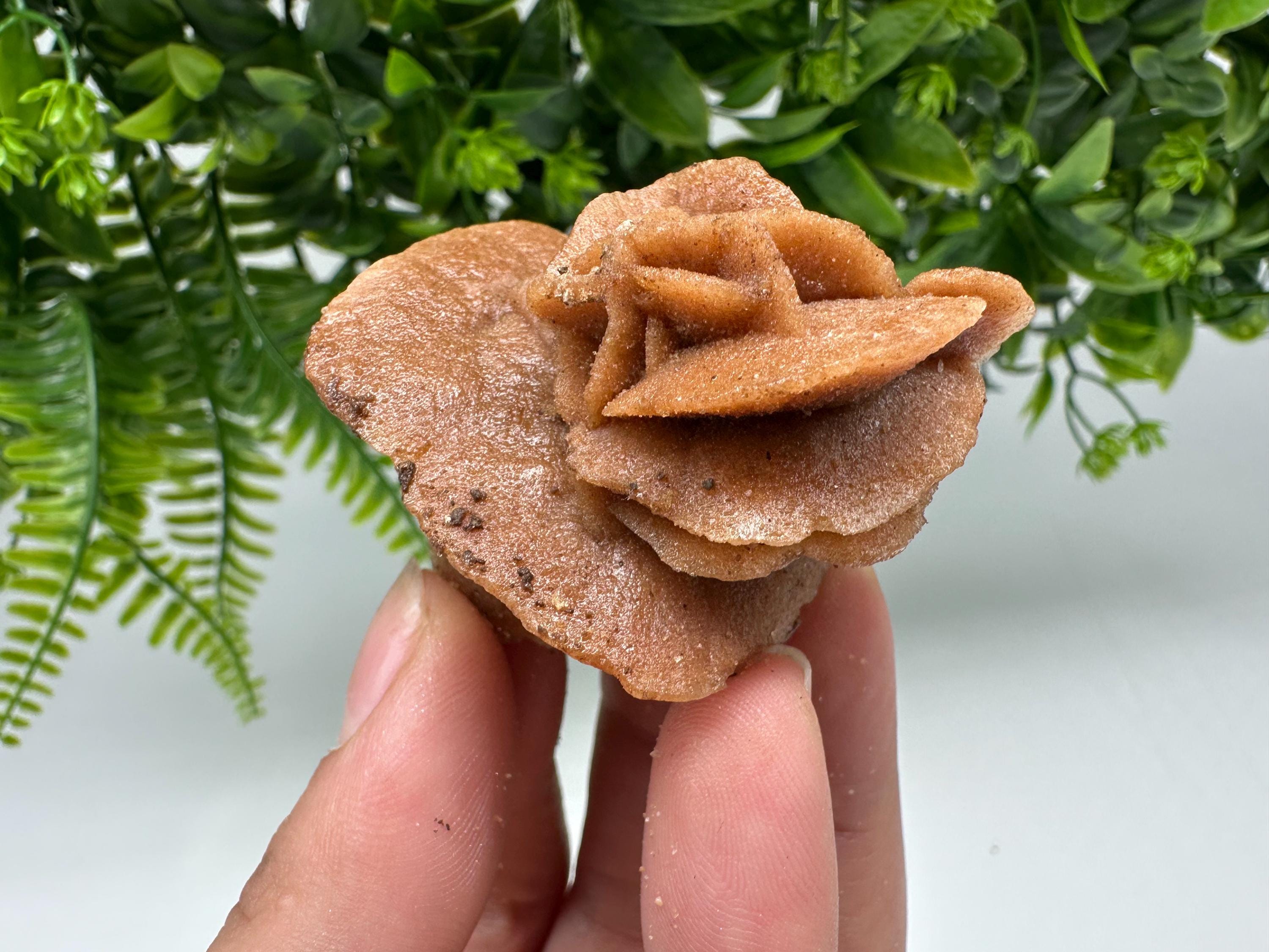 Natural Desert Rose Crystal – Root Chakra Selenite Stone, Home Decor