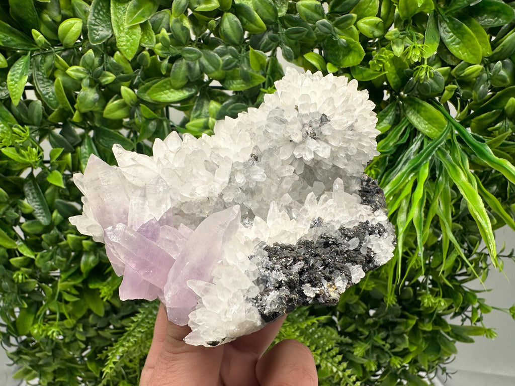 Quartz with Amethyst and Spahelrite, Djurcovo Mine, Bulgaria