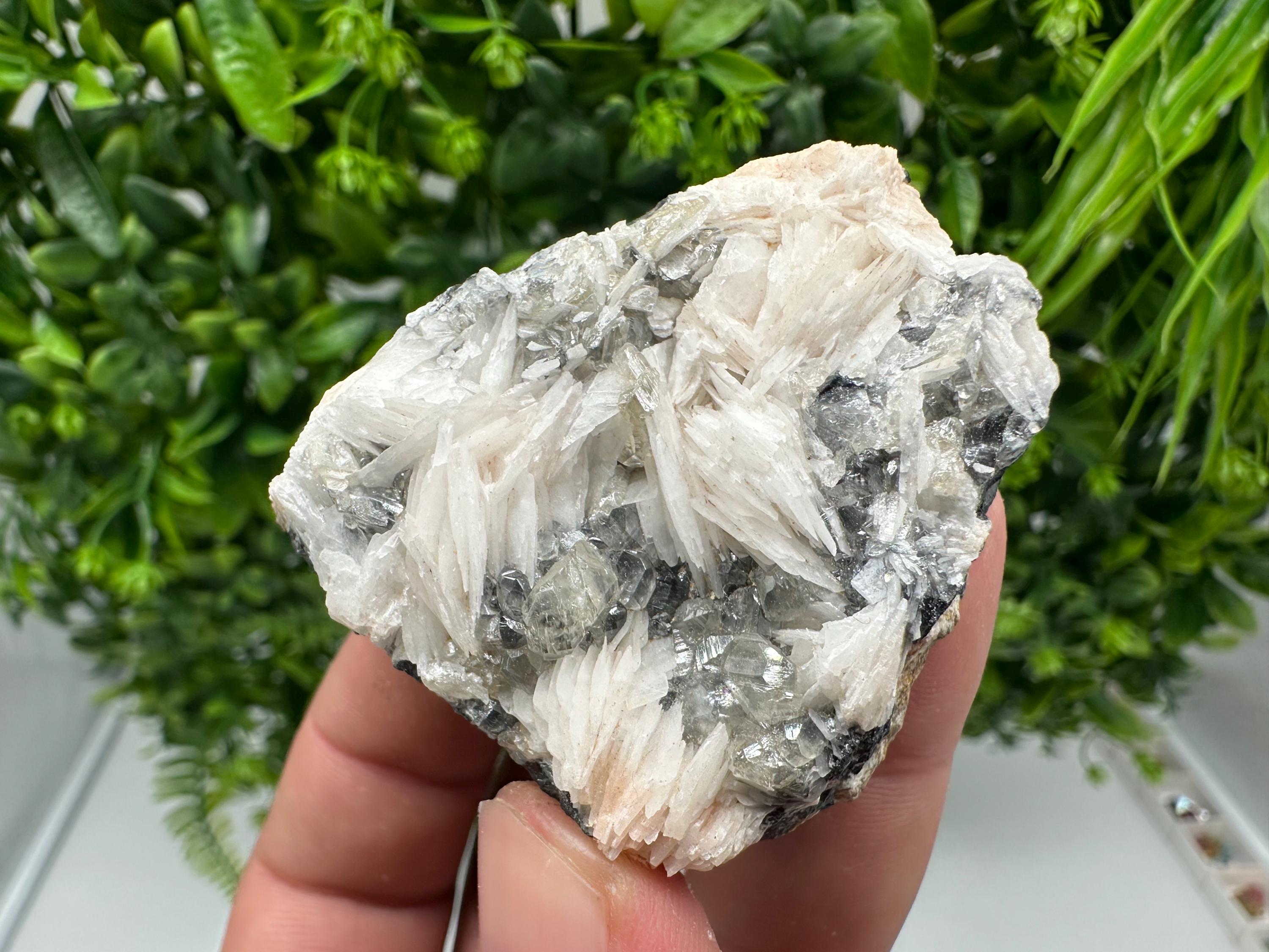 Wonderful Baryte with Cerussite on Galena from Morocco,Crystal, Mineral,Specimen,Cluster,Crystals,Barite Crystal,Cerussite Crystal,Specimen